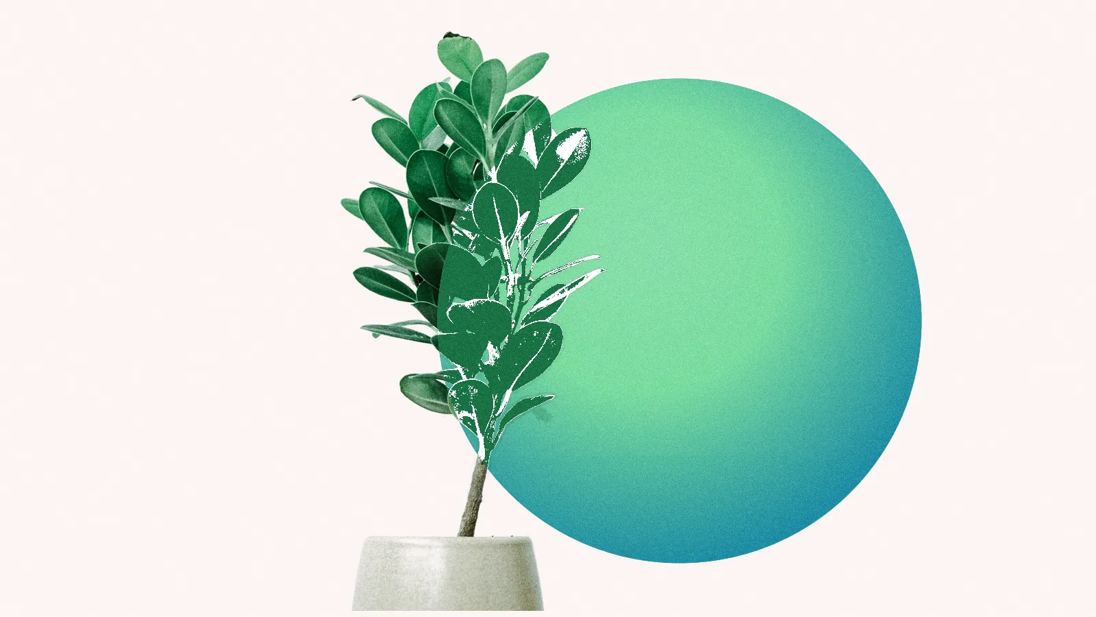 Career Values Assessment: Turn Priorities Into Job Criteria