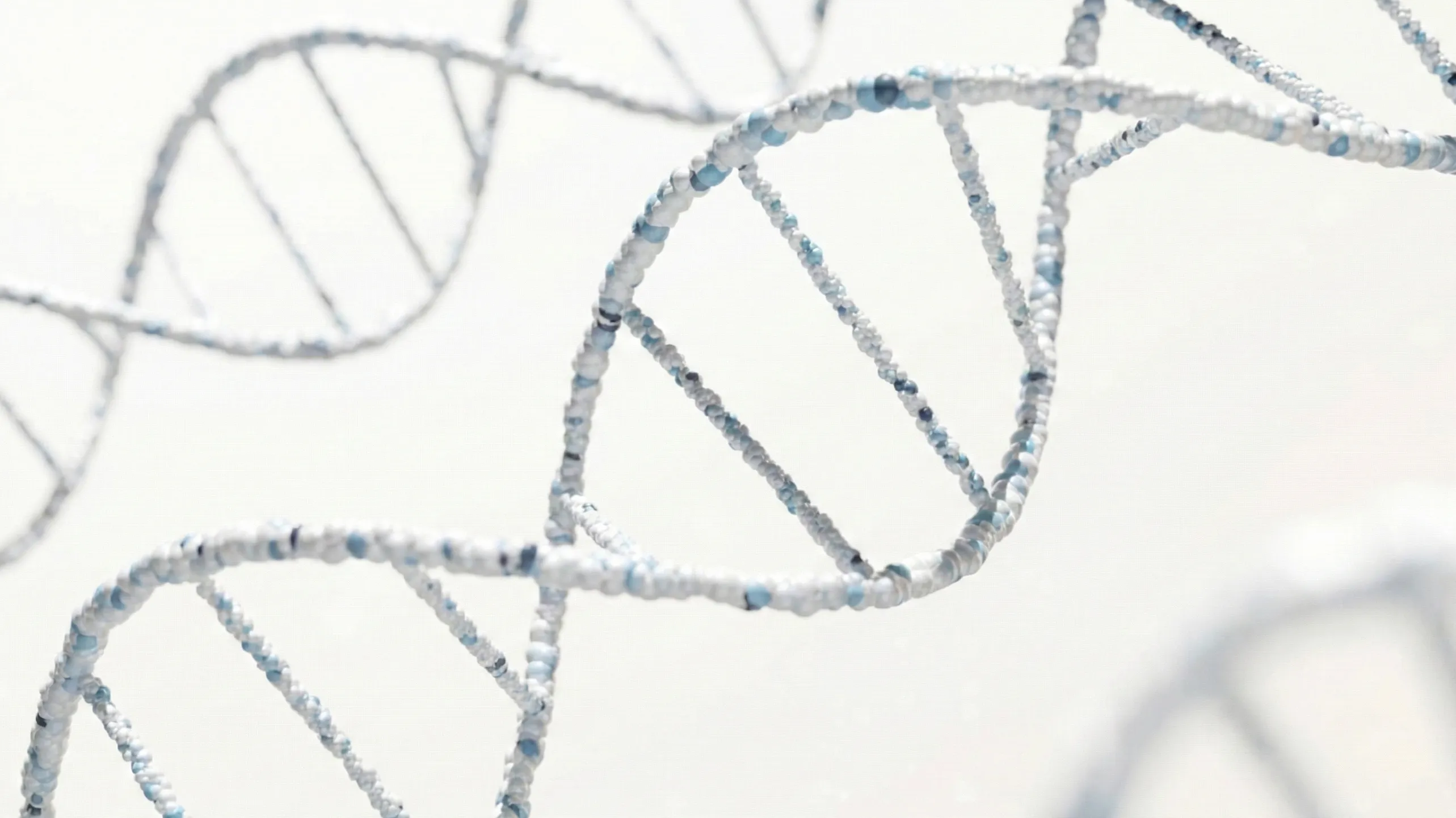 CliftonStrengths vs RVEAL: The Curse of Competence (And Why Being 'Good' Can Burn You Out)