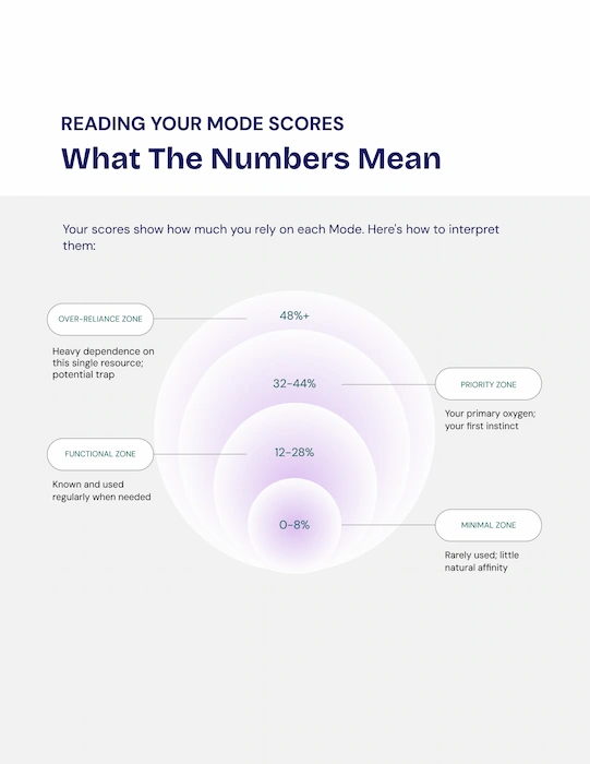 RVEAL Chat Interface